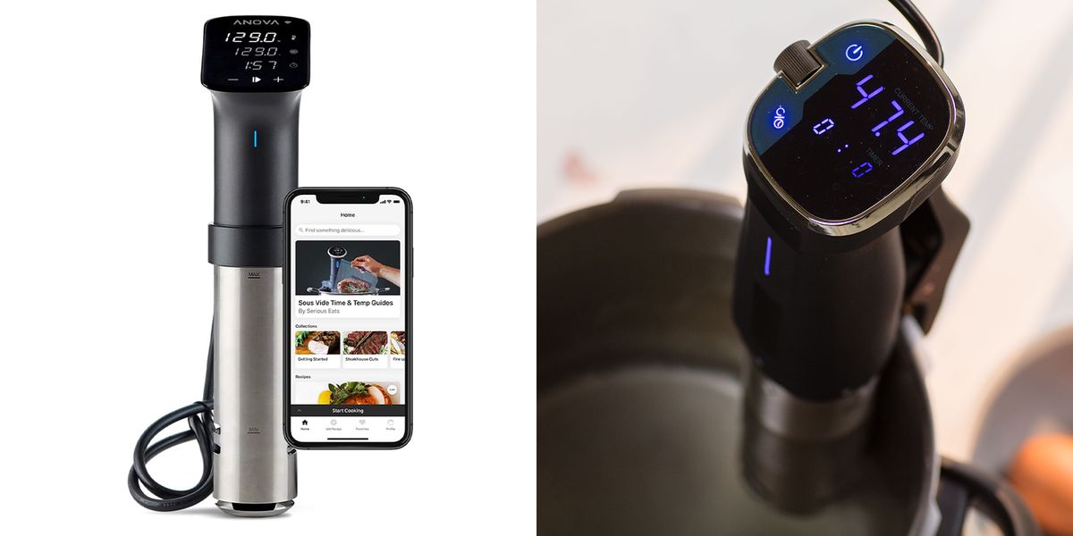 4 Best Sous Vide Cookers of 2023, According to Experts